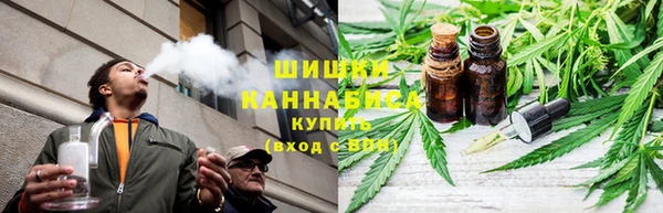 МДПВ Богородицк